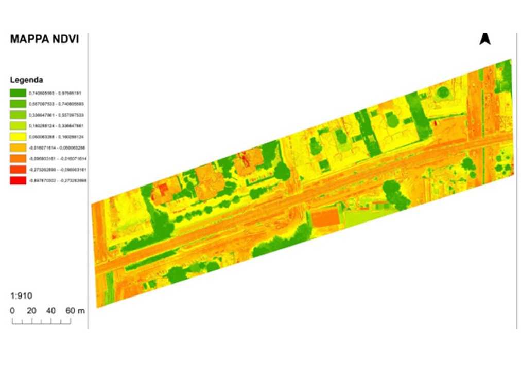 Mappa NDVI